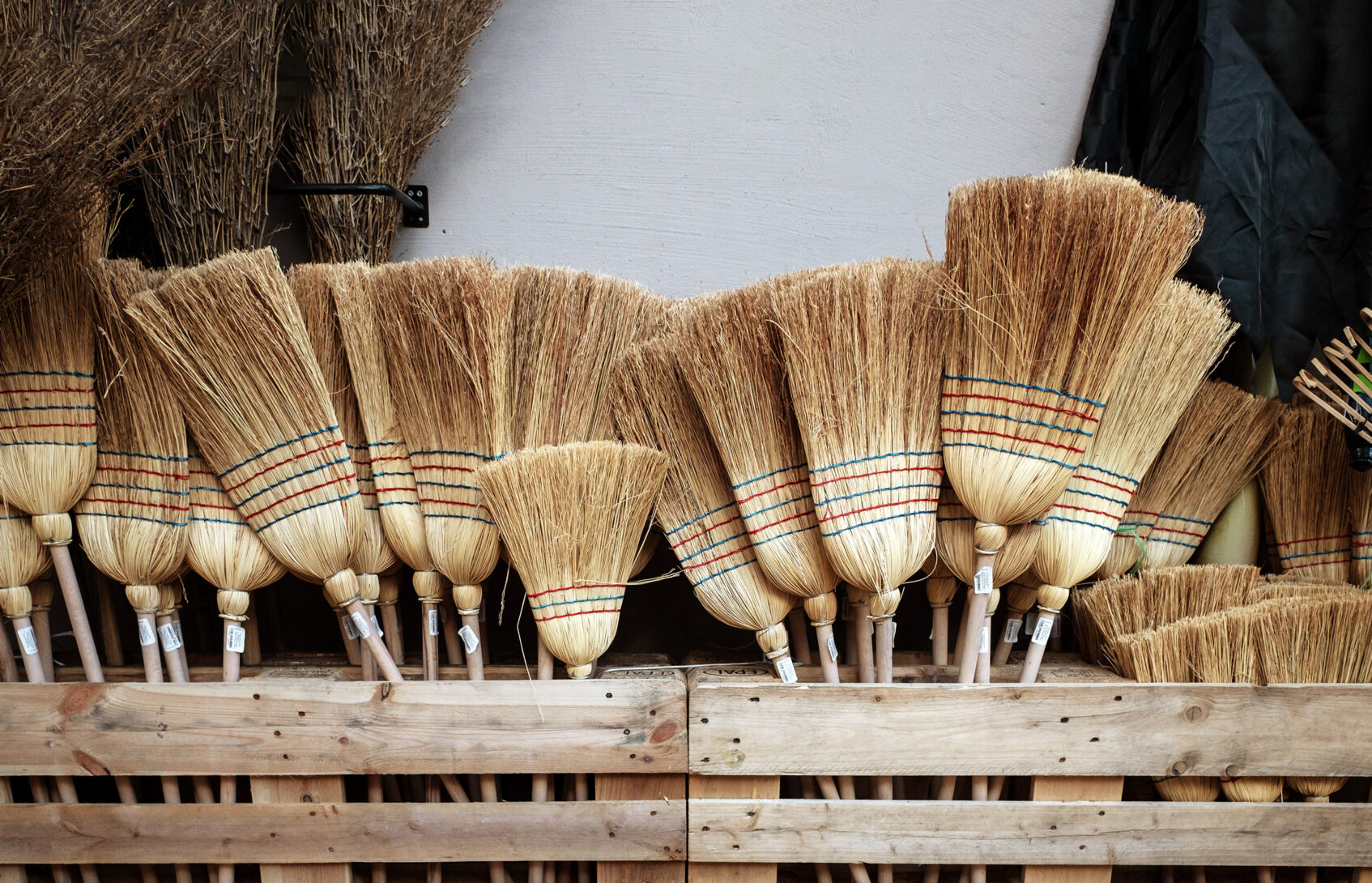 A collection of corn straw brooms stand together in a bin.