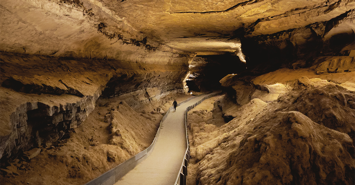 Mammoth Cave National Park